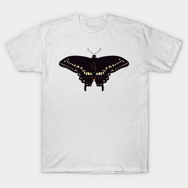 Black Swallowtail Butterfly Illustration Pattern T-Shirt by AnitasArtStore